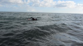 Schwimmtraining im Meer