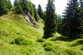 Laufen Tirol 