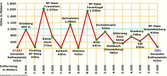 Streckenprofil Bergmarathon Grafik Traunsee