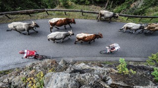 Radfahrer auf der Endura Alpen Traum Strecke