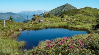 KAT-Walk-Kitzbueheler-Alpen