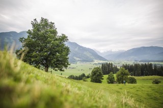 Saalfelden Leogang Trailrunning
