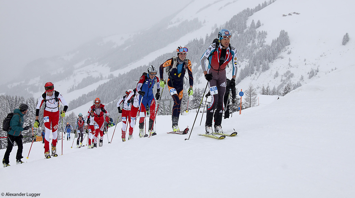 Skibergsteigen OESV Verein