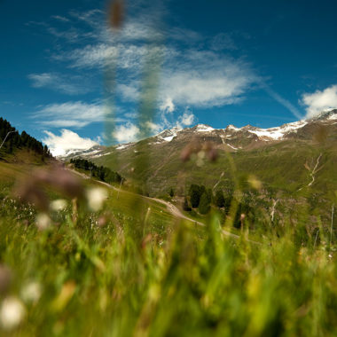 Natur Tirol Oetztal
