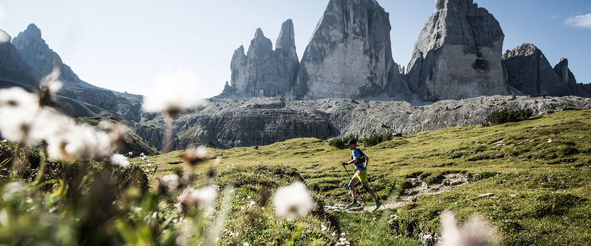 Transalpine Run 2015