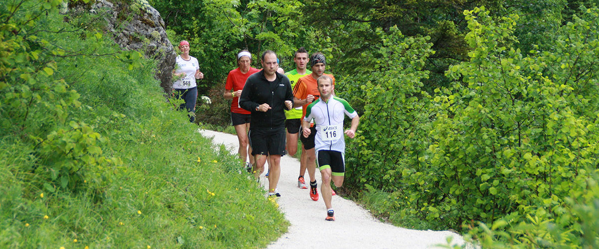 Strecke Narzissenlauf 2015