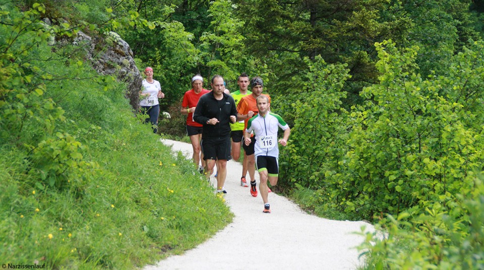 Strecke Narzissenlauf 2015