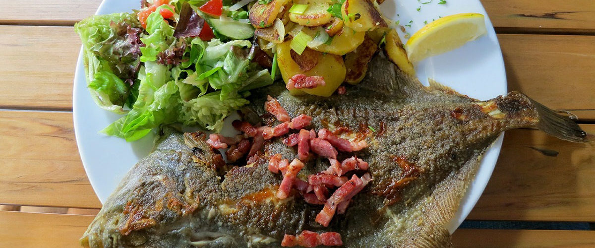 Fisch Gemuese Teller