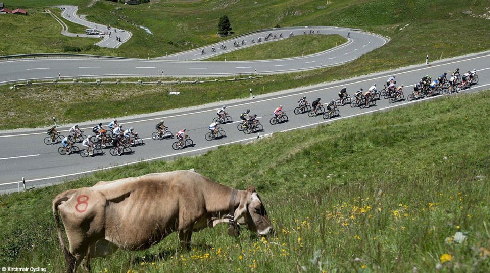 Rennradrennen-Transalp