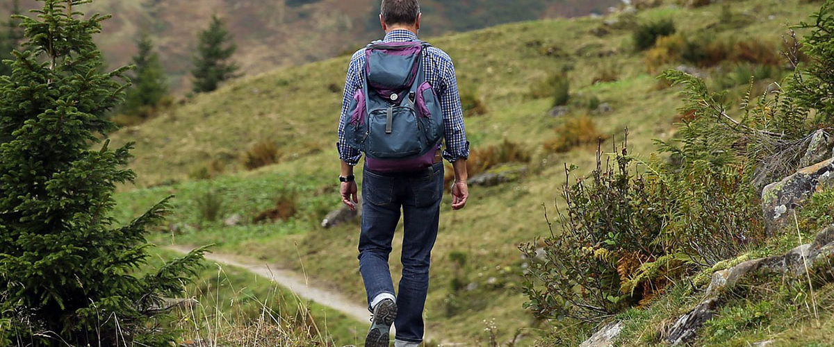 Wandern-in-den-Alpen