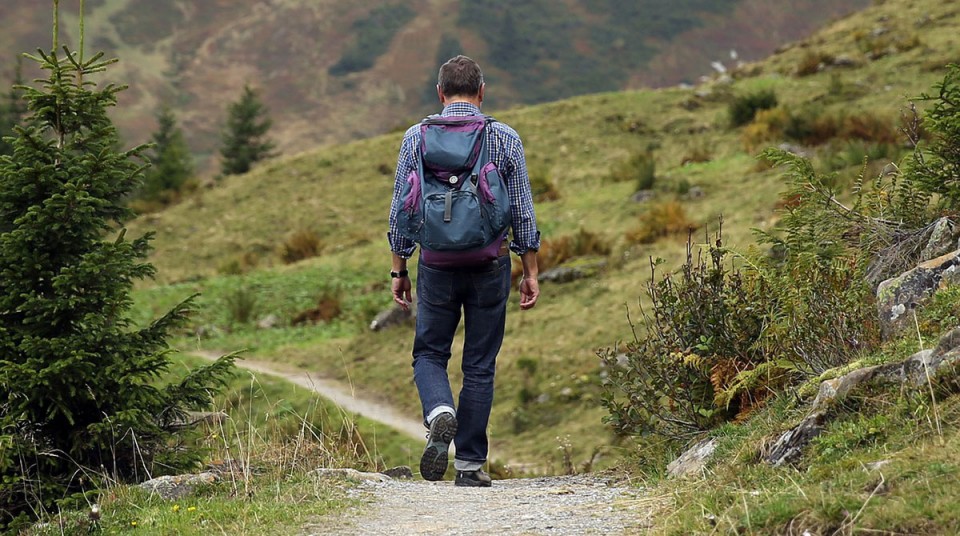 Wandern-in-den-Alpen