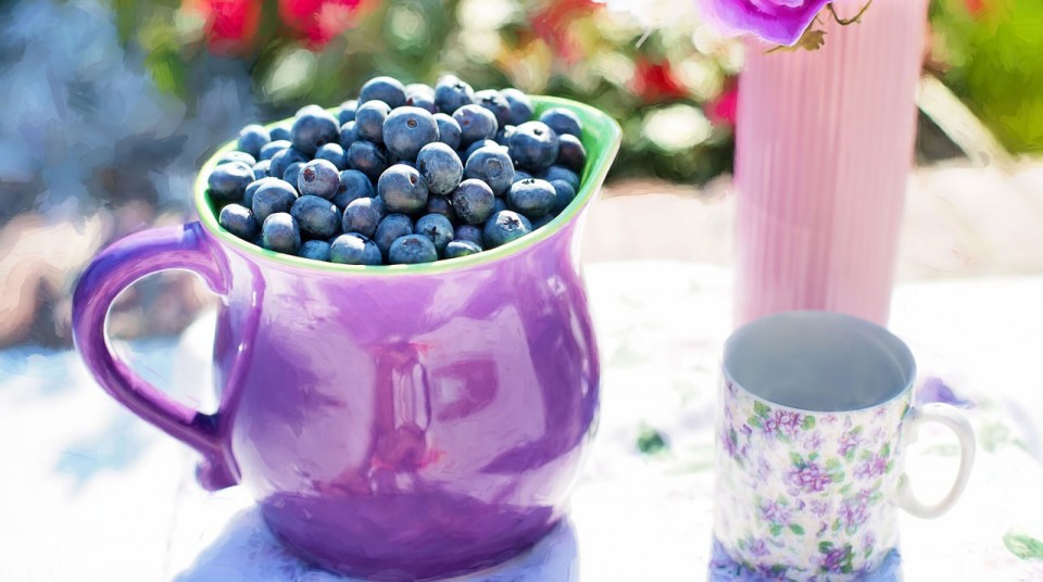 Blaubeeren-in-Tasse