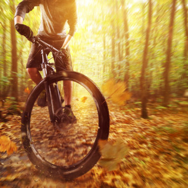 Mountainbiken-im-Herbst