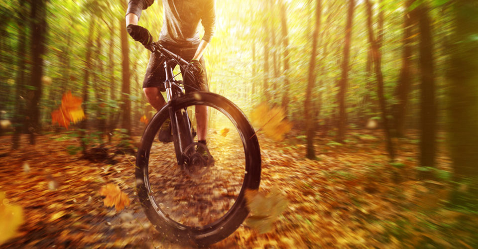 Mountainbiken-im-Herbst