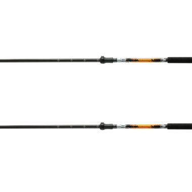 BCT Carbon Skistock