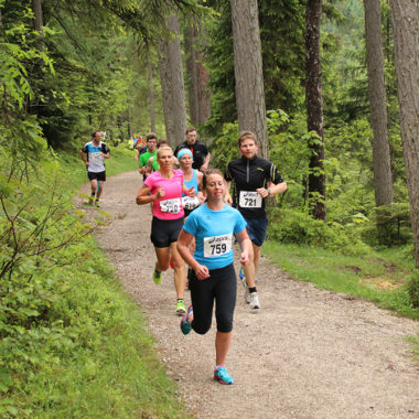 Teilnehmer-Strecke-Narzissenlauf