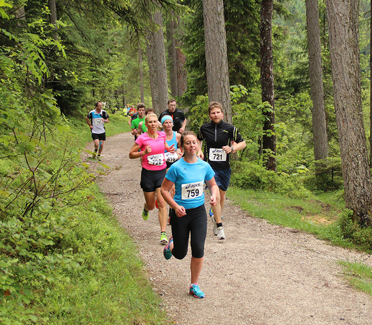 Teilnehmer-Strecke-Narzissenlauf