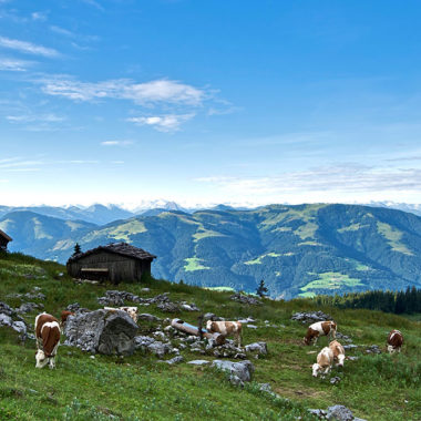 Kaiser Hochalm Scheffau