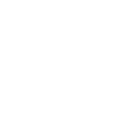 Salewa