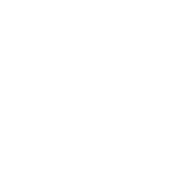 Salomon Running Team