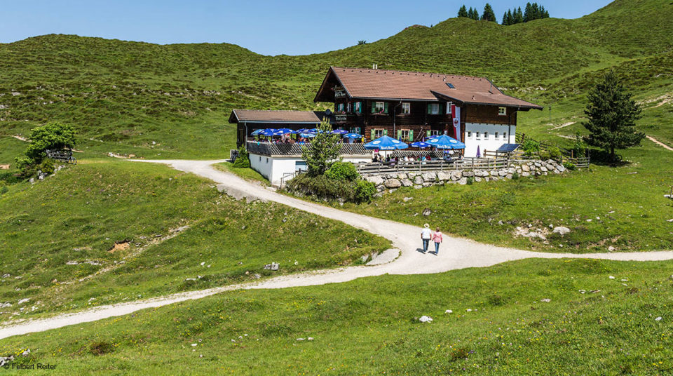 Walleralm am Wilden Kaiser