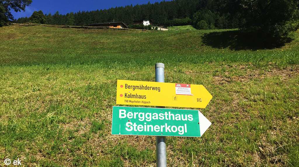 Bergmähderweg am Brandberg