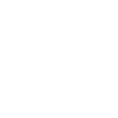 Salomon Running Events