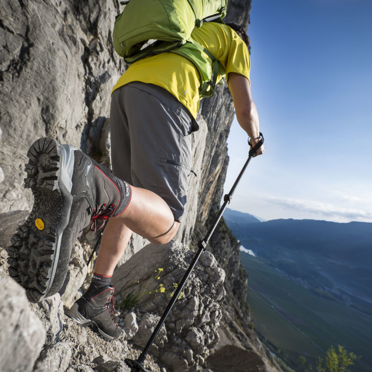 Salewa Mountain Trainer