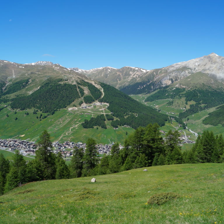 Livigno Skymarathon