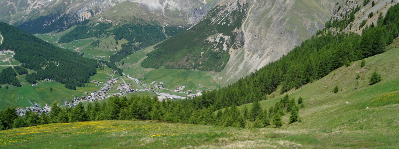 livigno skymarathon