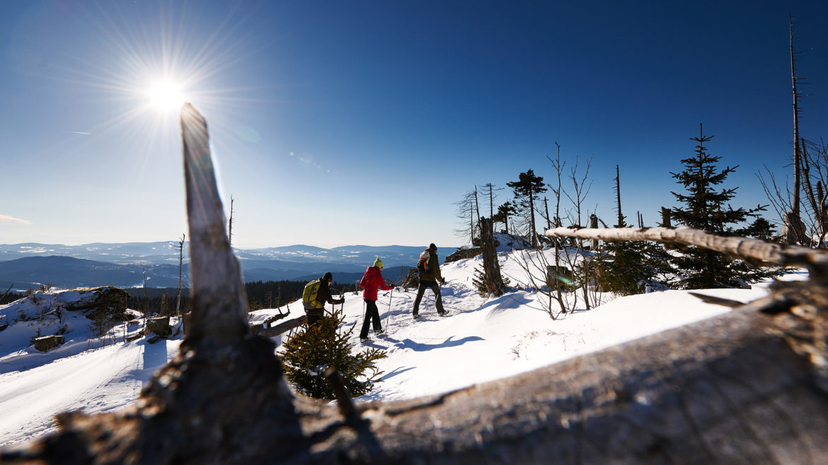 schneeschuhwandern ostbayern