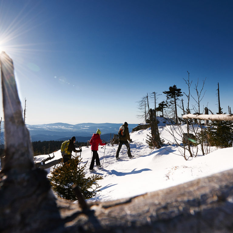 schneeschuhwandern ostbayern