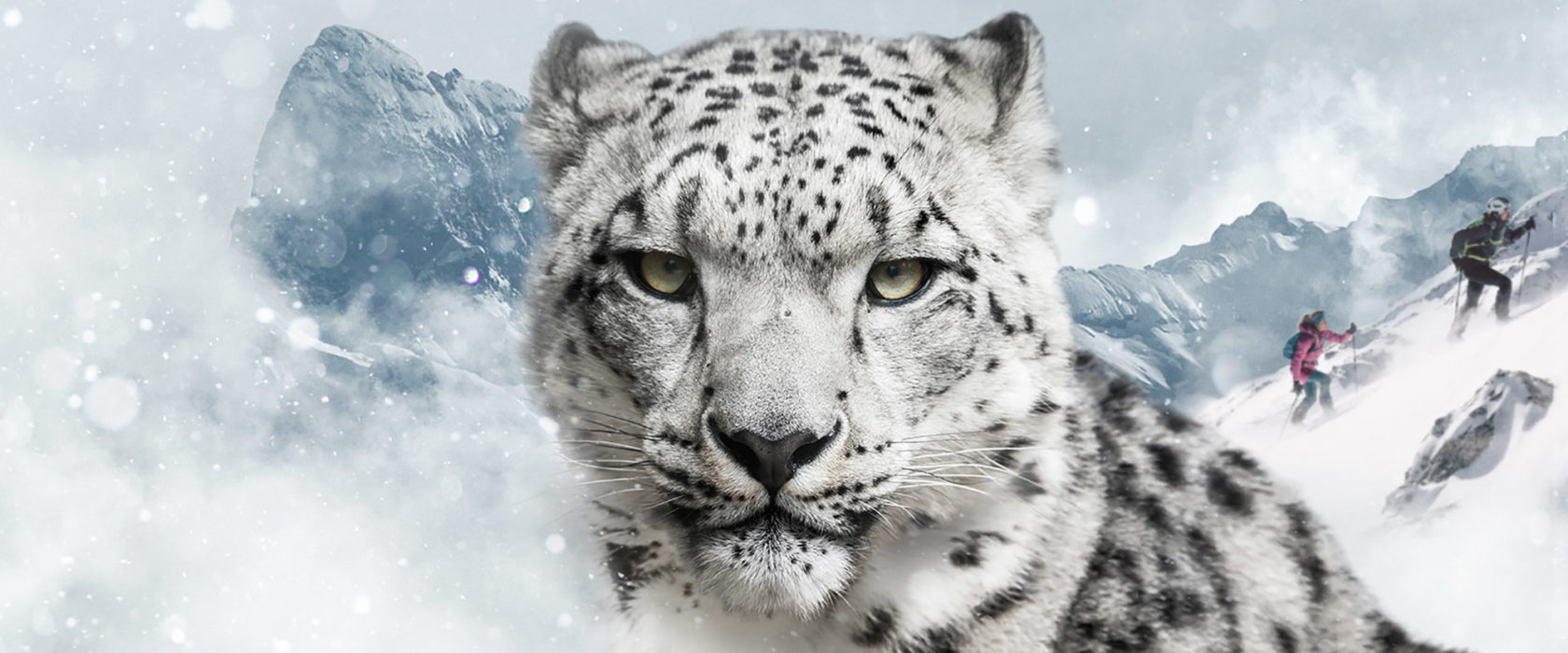 Dynafit-Snow-Leopard-Day