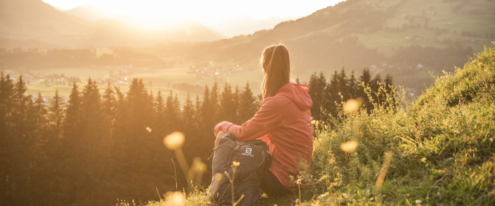 Kräuterwandern