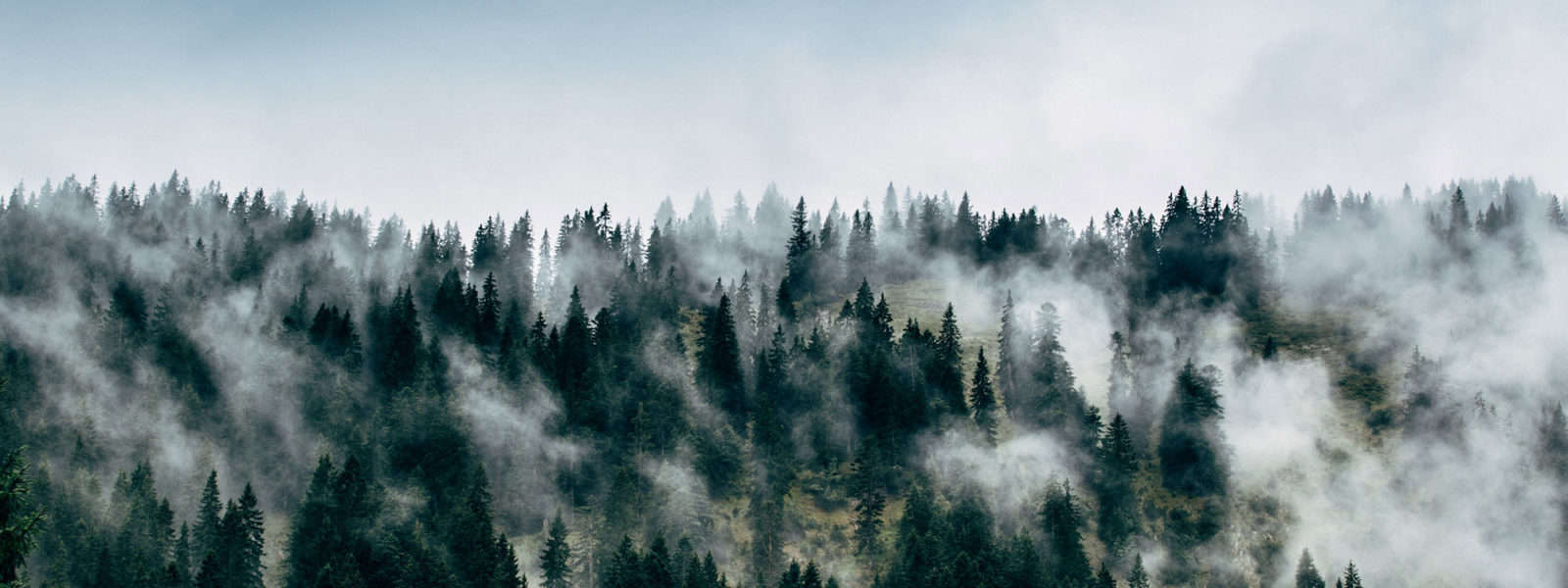 Natur-tirol-trailrunning