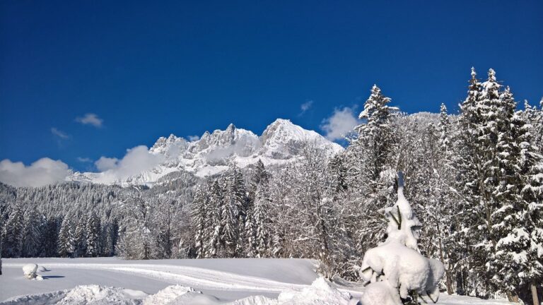 wilder kaiser winter