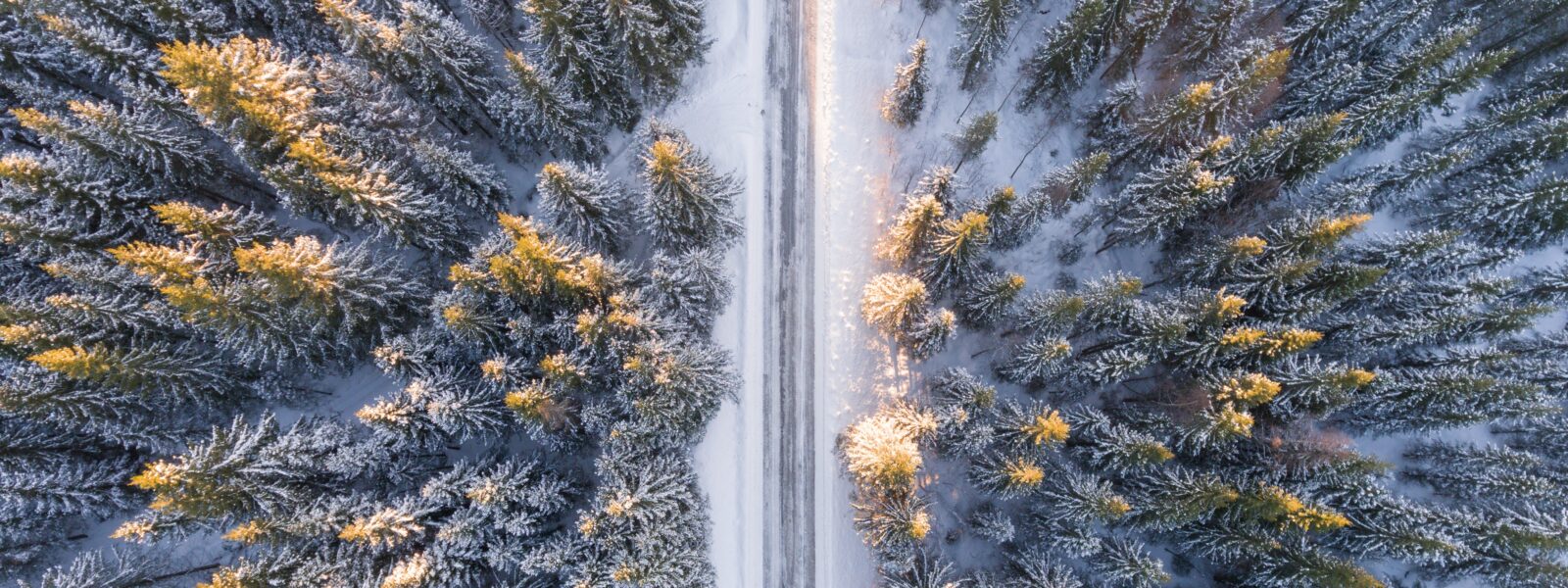 Schneefahrbahn im Wald